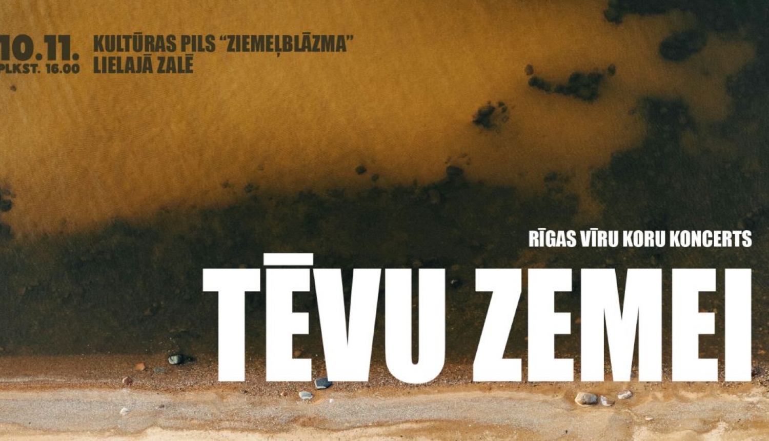 Koncerts "Tēvu zemei"