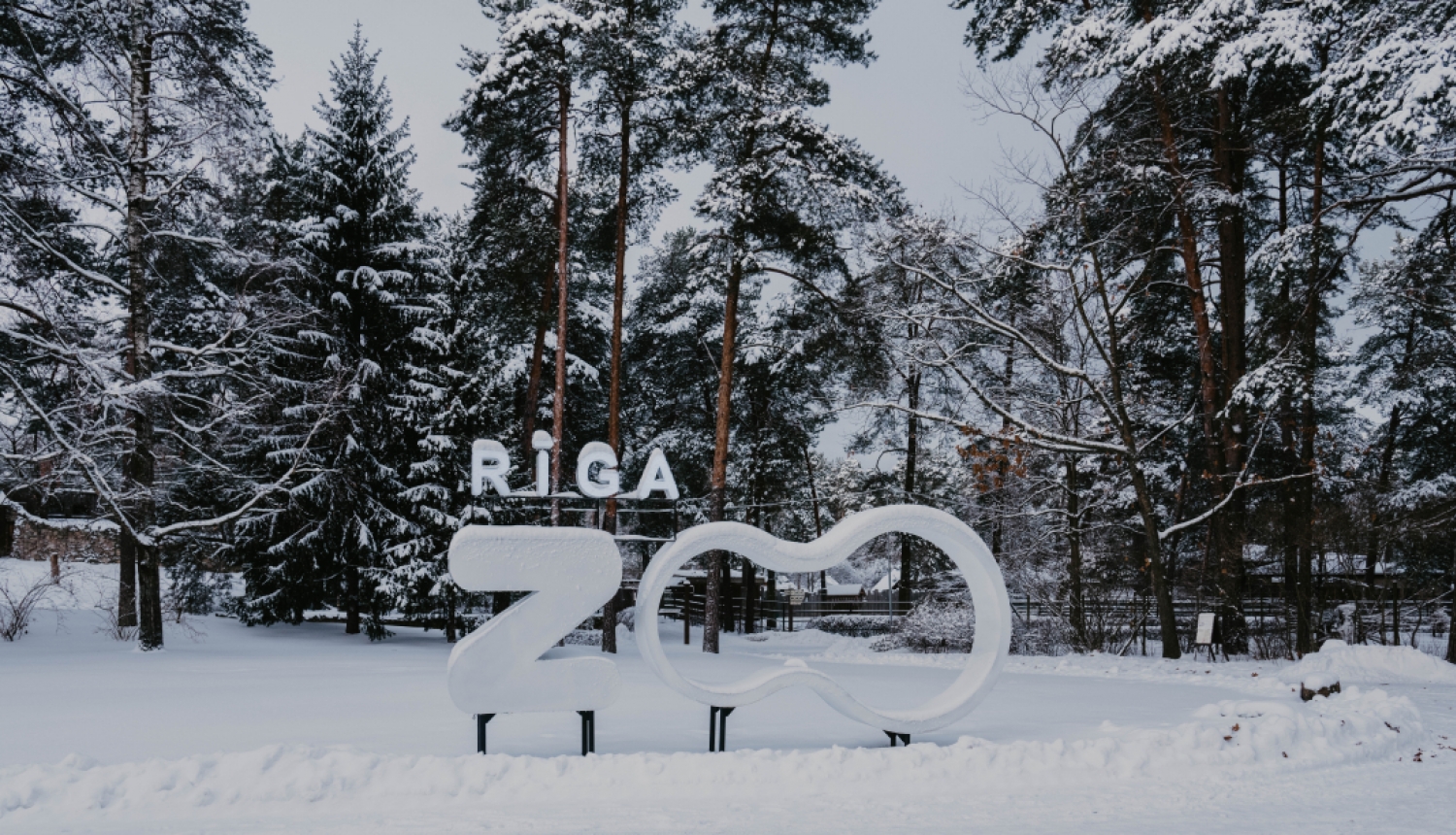 Rīgas Zoo logotips ziemā
